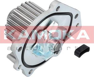 Kamoka T0174 - Water Pump parts5.com