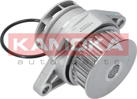 Kamoka T0249 - Pompe à eau parts5.com