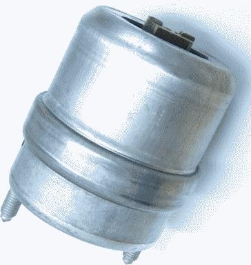 Lemförder 25369 01 - Yataklama, motor parts5.com