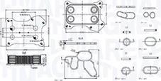 Magneti Marelli 350300001300 - Chladič motorového oleja parts5.com