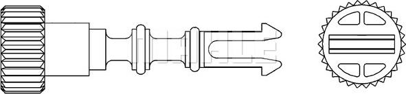 MAHLE CRX 52 000P - Śruba, korek chłodnicy parts5.com