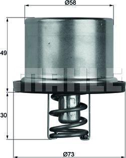 MAHLE TX 37 79 - Termostat,lichid racire parts5.com