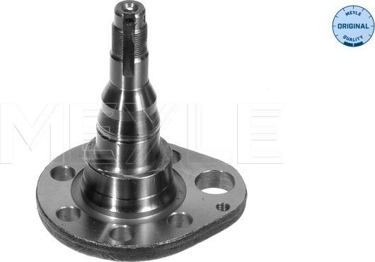 Meyle 100 501 0037 - Steering Knuckle, wheel suspension parts5.com