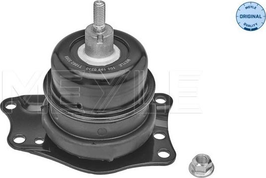 Meyle 100 199 0230 - Vlezajenje, motor parts5.com