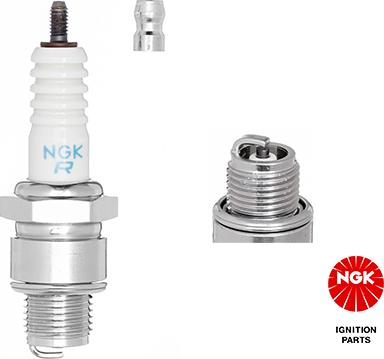 NGK 3922 - Spark Plug parts5.com