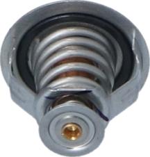 NRF 725209 - Thermostat, coolant parts5.com