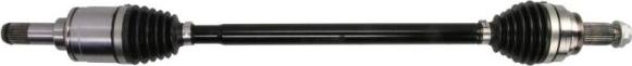 Pascal G2B048PC - Drive Shaft parts5.com