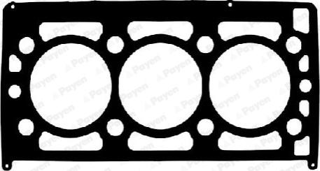 Payen AA5920 - Junta, culata parts5.com