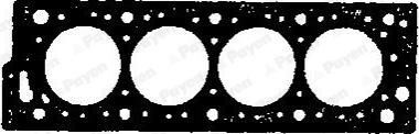 Payen BR510 - Brtva, glava cilindra parts5.com