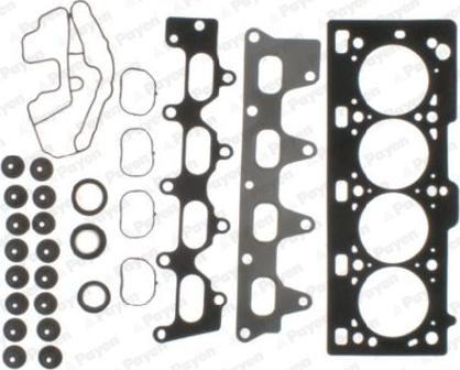 Payen CC5110 - Set garnituri, chiulasa parts5.com