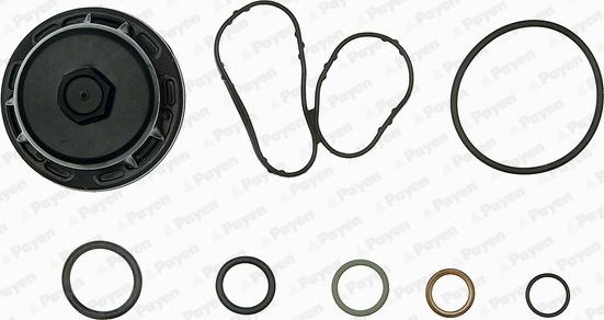 Payen EG9760 - Sada těsnění, kliková skříň parts5.com