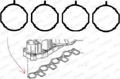 Payen HA5069 - Sada těsnění, koleno sacího potrubí parts5.com