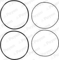 Payen HL5191 - O-Ring Set, cylinder sleeve parts5.com