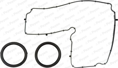 Payen HM5369 - Set garnituri, Capac supape parts5.com