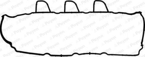 Payen JM7165 - Tesnenie veka hlavy valcov parts5.com