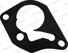 Payen KK5643 - Brtva, podtlačna pumpa parts5.com