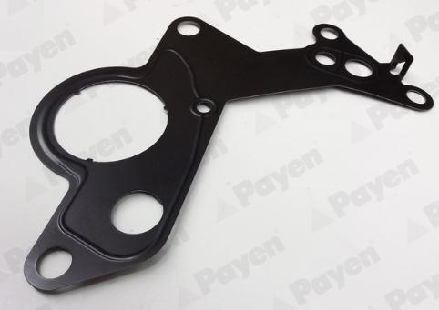 Payen KK5746 - Uszczelka, pompa paliwowa parts5.com