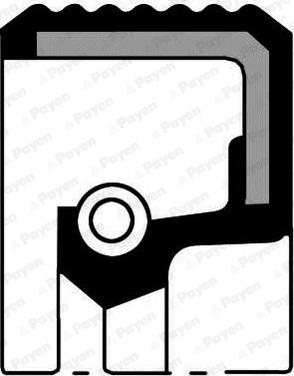 Payen NA5449 - Wellendichtring, Schaltgetriebe parts5.com