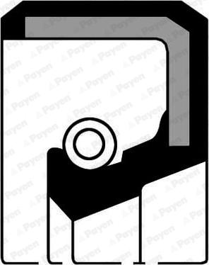 Payen NF841 - Tesniaci krúżok hriadeľa diferenciálu parts5.com