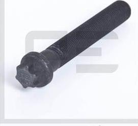 PE Automotive 036.128-00A - Cıvata, fren diski parts5.com