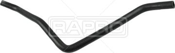 Rapro R12565 - Crijevo hladnjaka parts5.com