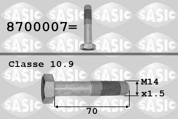 Sasic 8700007 - Pulley Bolt parts5.com