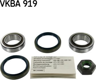 SKF VKBA 919 - Wheel hub, bearing Kit parts5.com