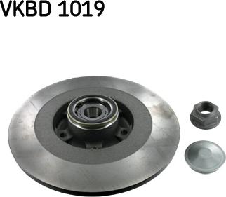 SKF VKBD 1019 - Bremsscheibe parts5.com