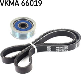 SKF VKMA 66019 - Juego de correas trapeciales poli V parts5.com