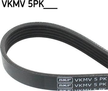 SKF VKMV 5PK1100 - Correa trapecial poli V parts5.com