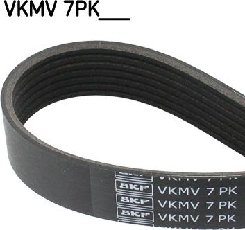 SKF VKMV 7PK1125 - Correa trapecial poli V parts5.com