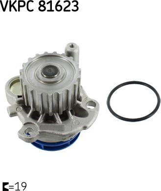 SKF VKPC 81623 - Pompa apa parts5.com