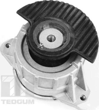 Tedgum 00418476 - Έδραση, κινητήρας parts5.com