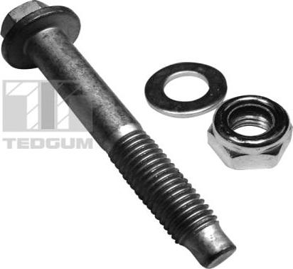 Tedgum 00228320 - Винт parts5.com