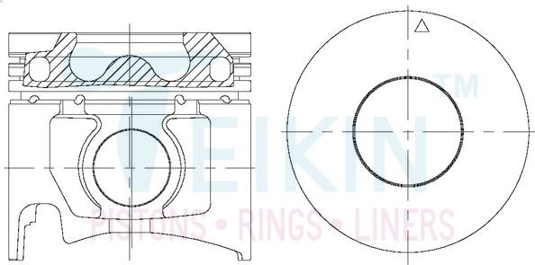 Teikin 43695AGSTD - Pistón parts5.com