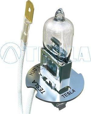 TESLA B10301 - Bulb, spotlight parts5.com