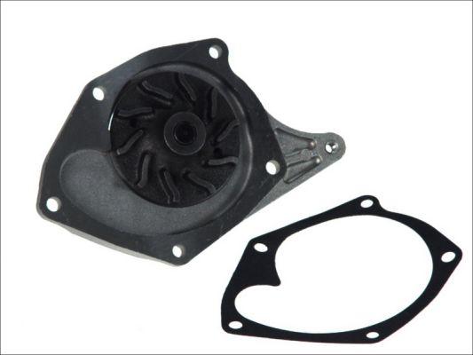 Thermotec D1R033TT - Αντλία νερού parts5.com