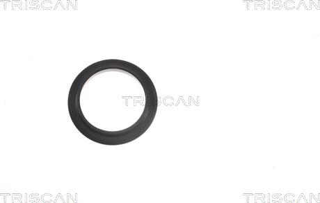 Triscan 8500 13924 - Wälzlager, Federbeinstützlager parts5.com