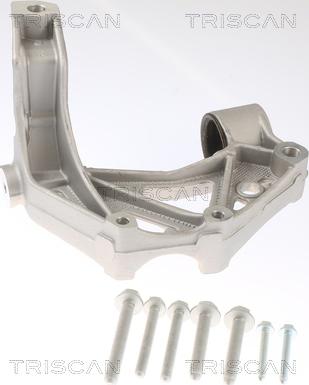 Triscan 8500 295261 - Lagerbock, Achskörper parts5.com