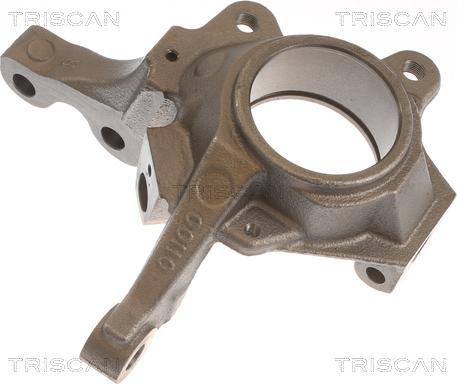 Triscan 8500 25702 - Поворотный кулак, подвеска колеса parts5.com