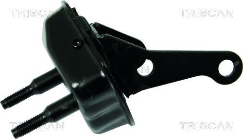 Triscan 8500 28534 - Bucsa punte parts5.com