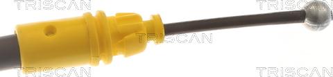 Triscan 8140 251127 - Vaijeri, seisontajarru parts5.com