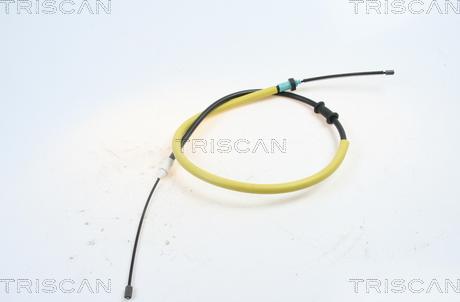 Triscan 8140 25179 - Vaijeri, seisontajarru parts5.com