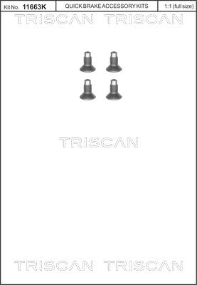 Triscan 8105 116004 - Komplet vijakov, zavorni disk parts5.com