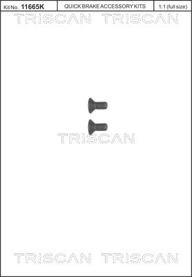 Triscan 8105 116006 - Set surub, disc frana parts5.com