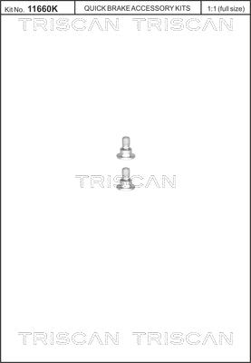 Triscan 8105 116001 - Screw Set, brake disc parts5.com