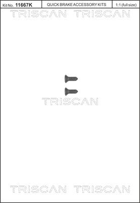 Triscan 8105 116008 - Screw Set, brake disc parts5.com