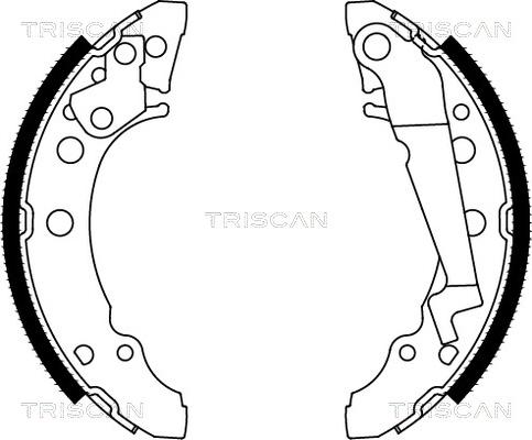 Triscan 8100 29001 - Sada brzdových čelistí parts5.com