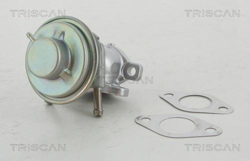 Triscan 8813 15029 - AGR-szelep parts5.com