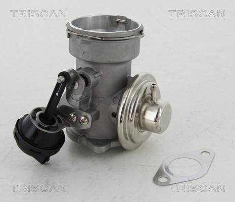 Triscan 8813 16023 - Βαλβίδα AGR parts5.com